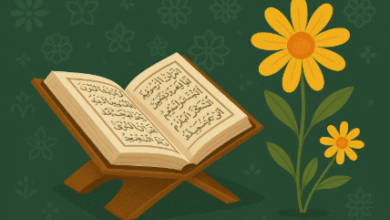 🌼 تدبّر القرآن.. طريق إلى الإيمان والسكينة