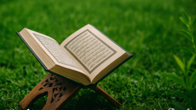 🌿 العمل بالقرآن.. ثمرة الإيمان الحقيقي